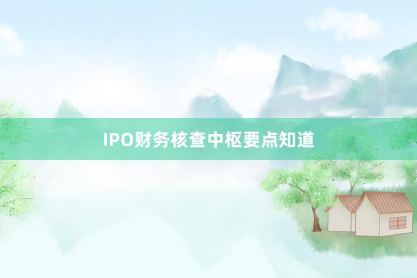 IPO财务核查中枢要点知道
